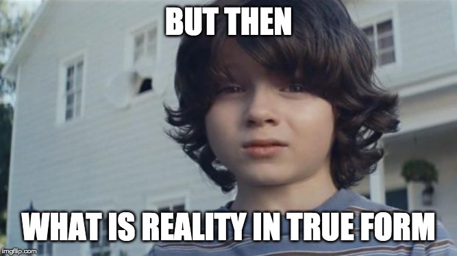 But then I died | BUT THEN WHAT IS REALITY IN TRUE FORM | image tagged in but then i died | made w/ Imgflip meme maker