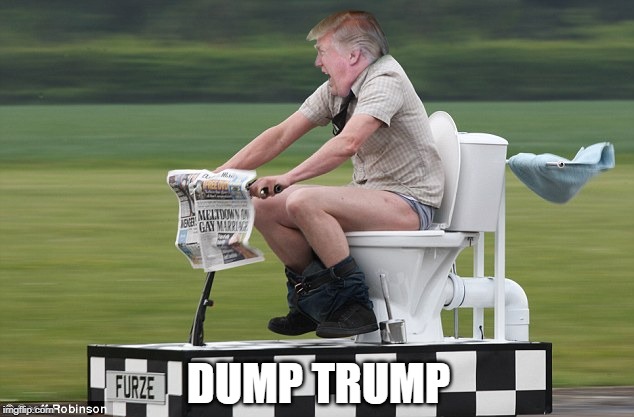 Dump Trump | DUMP TRUMP | image tagged in trump dump,trump | made w/ Imgflip meme maker