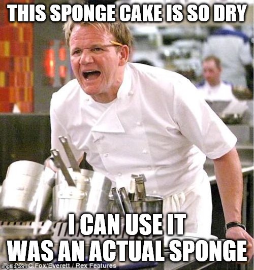 Chef Gordon Ramsay | THIS SPONGE CAKE IS SO DRY; I CAN USE IT WAS AN ACTUAL SPONGE | image tagged in memes,chef gordon ramsay,food,dessert | made w/ Imgflip meme maker