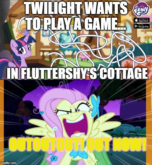 Games ponies play... illegally | image tagged in my little pony friendship is magic,twilight sparkle,fluttershy | made w/ Imgflip meme maker