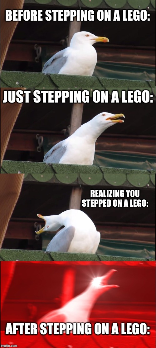The 4 Stages of Stepping On A Lego | BEFORE STEPPING ON A LEGO:; JUST STEPPING ON A LEGO:; REALIZING YOU STEPPED ON A LEGO:; AFTER STEPPING ON A LEGO: | image tagged in memes,inhaling seagull,yeet | made w/ Imgflip meme maker