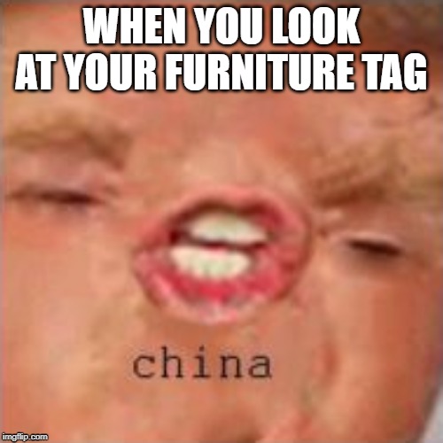 trump meme | WHEN YOU LOOK AT YOUR FURNITURE TAG | image tagged in dank memes | made w/ Imgflip meme maker