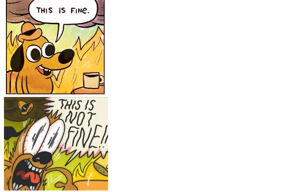 High Quality This is Fine, This is Not Fine Blank Meme Template