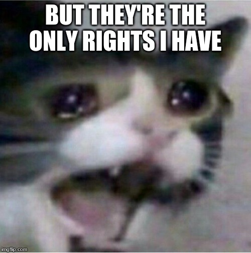 crying cat | BUT THEY'RE THE ONLY RIGHTS I HAVE | image tagged in crying cat | made w/ Imgflip meme maker