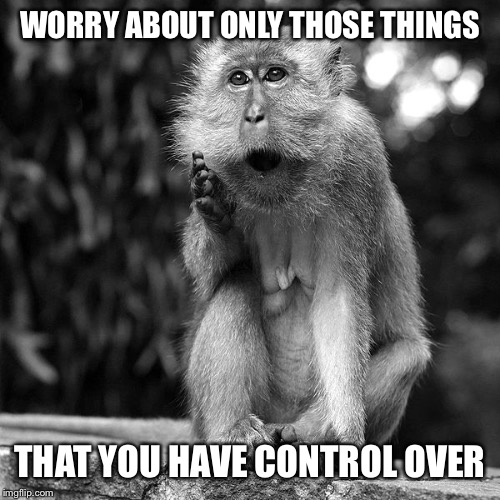 Wise Monkey | WORRY ABOUT ONLY THOSE THINGS THAT YOU HAVE CONTROL OVER | image tagged in wise monkey | made w/ Imgflip meme maker