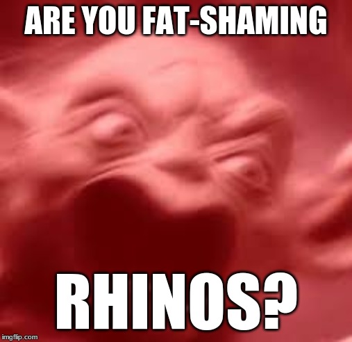 ARE YOU FAT-SHAMING RHINOS? | made w/ Imgflip meme maker