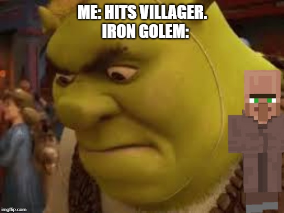 Mad Shrek | ME: HITS VILLAGER.
  IRON GOLEM: | image tagged in mad | made w/ Imgflip meme maker