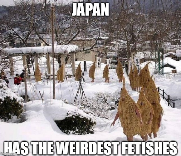 ONLY JAPAN | JAPAN; HAS THE WEIRDEST FETISHES | image tagged in japan,meanwhile in japan | made w/ Imgflip meme maker