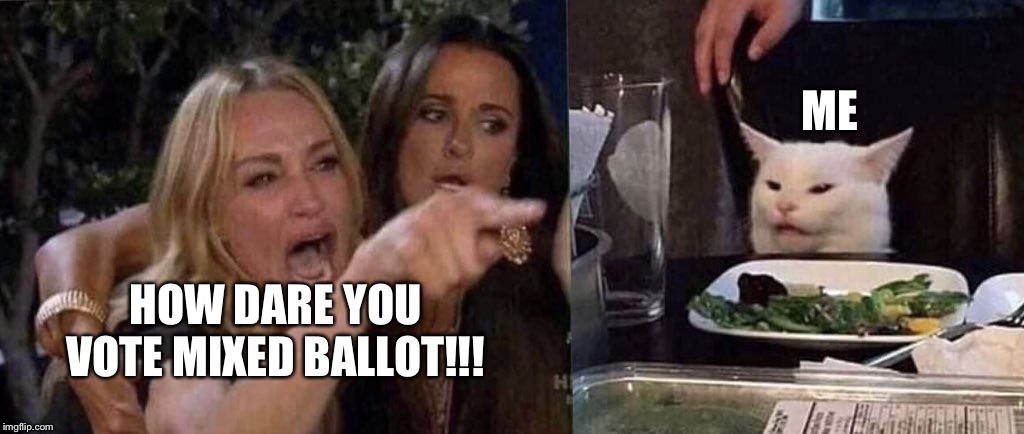 woman yelling at cat | HOW DARE YOU VOTE MIXED BALLOT!!! ME | image tagged in woman yelling at cat | made w/ Imgflip meme maker