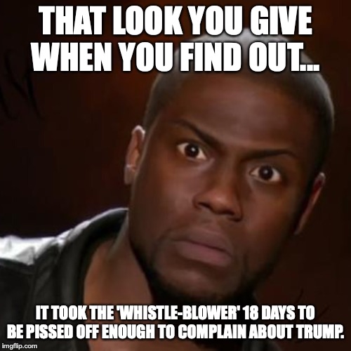 But in that 18 days the "whistle-blower" definitely didn't collude with democrats. Nope. No way. | THAT LOOK YOU GIVE WHEN YOU FIND OUT... IT TOOK THE 'WHISTLE-BLOWER' 18 DAYS TO BE PISSED OFF ENOUGH TO COMPLAIN ABOUT TRUMP. | image tagged in 2019,democrats,liars,impeachment,18 days,liberals | made w/ Imgflip meme maker