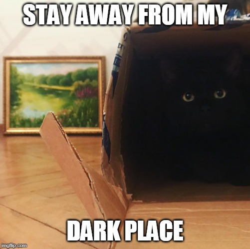 MY BOX | STAY AWAY FROM MY; DARK PLACE | image tagged in cats,funny cats | made w/ Imgflip meme maker