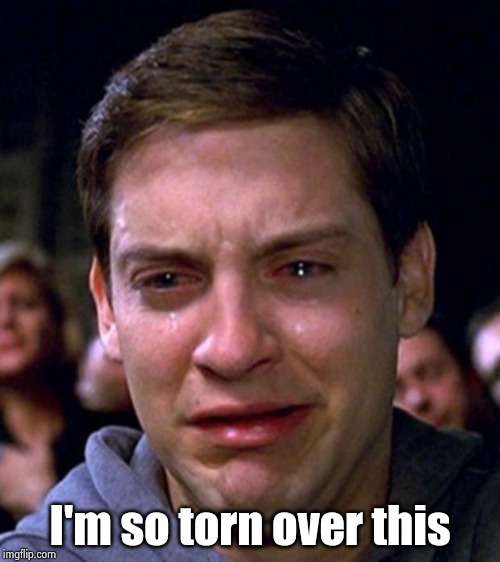crying peter parker | I'm so torn over this | image tagged in crying peter parker | made w/ Imgflip meme maker