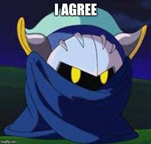 Meta knight don't give a fuck | I AGREE | image tagged in meta knight don't give a fuck | made w/ Imgflip meme maker