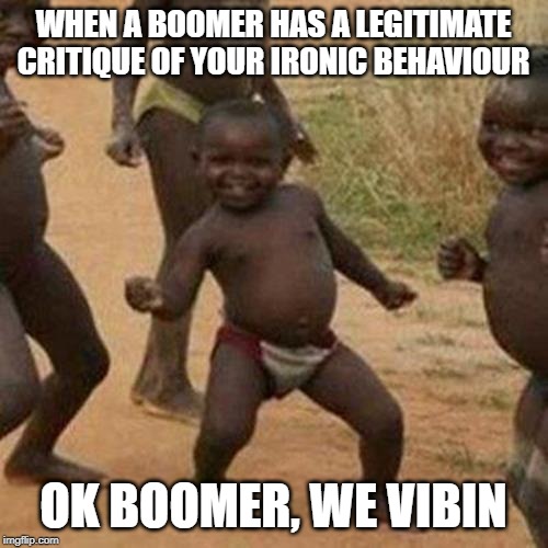 WHEN A BOOMER HAS A LEGITIMATE CRITIQUE OF YOUR IRONIC BEHAVIOUR OK BOOMER, WE VIBIN | image tagged in memes,third world success kid | made w/ Imgflip meme maker