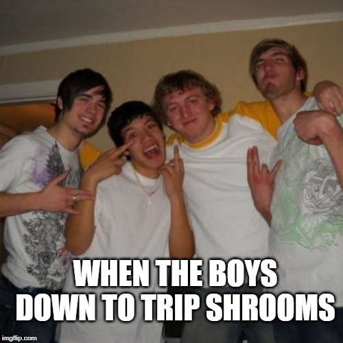 boys trippin shrooms tonight |  WHEN THE BOYS DOWN TO TRIP SHROOMS | image tagged in magic mushrooms,shrooms,mushrooms,country music,country voice | made w/ Imgflip meme maker