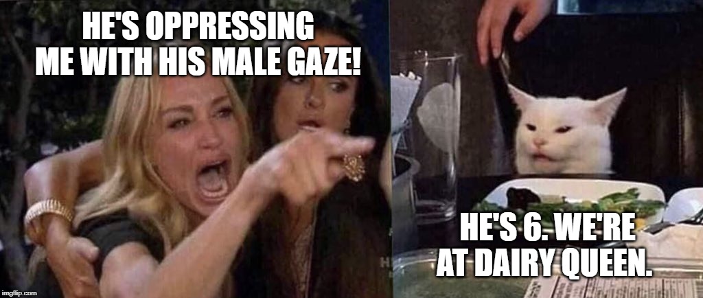 woman yelling at cat | HE'S OPPRESSING ME WITH HIS MALE GAZE! HE'S 6. WE'RE AT DAIRY QUEEN. | image tagged in woman yelling at cat | made w/ Imgflip meme maker