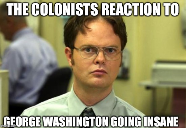 Dwight Schrute Meme | THE COLONISTS REACTION TO; GEORGE WASHINGTON GOING INSANE | image tagged in memes,dwight schrute | made w/ Imgflip meme maker