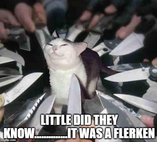Bad Move People | LITTLE DID THEY KNOW..............IT WAS A FLERKEN | image tagged in knife cat | made w/ Imgflip meme maker
