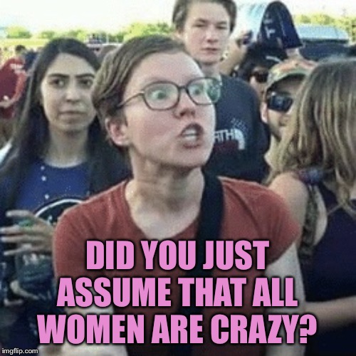 Gender outrage | DID YOU JUST ASSUME THAT ALL WOMEN ARE CRAZY? | image tagged in gender outrage | made w/ Imgflip meme maker