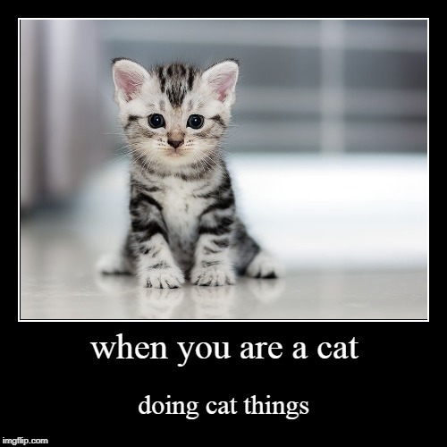 image tagged in funny,demotivationals | made w/ Imgflip demotivational maker