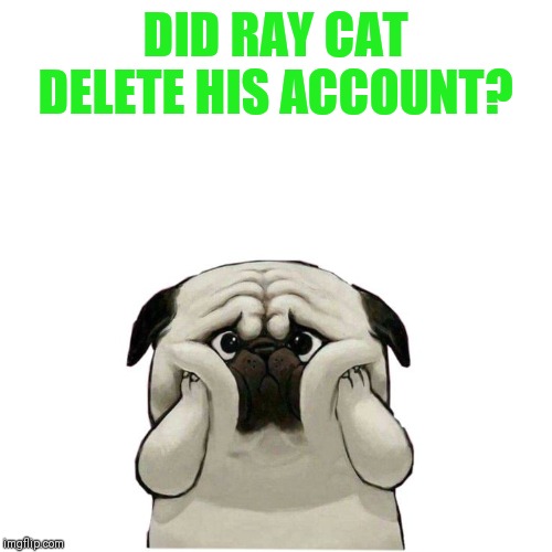 Maybe he changed his name? I hope he hasn't deleted. | DID RAY CAT DELETE HIS ACCOUNT? | image tagged in raycat,where art thou,another good one gone | made w/ Imgflip meme maker