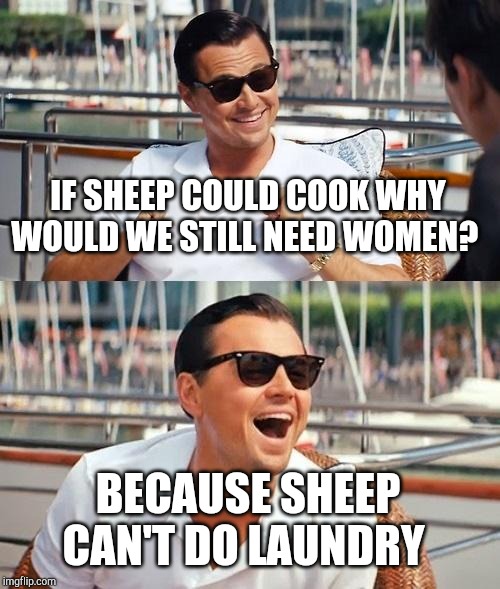 Leonardo Dicaprio Wolf Of Wall Street Meme | IF SHEEP COULD COOK WHY WOULD WE STILL NEED WOMEN? BECAUSE SHEEP CAN'T DO LAUNDRY | image tagged in memes,leonardo dicaprio wolf of wall street | made w/ Imgflip meme maker