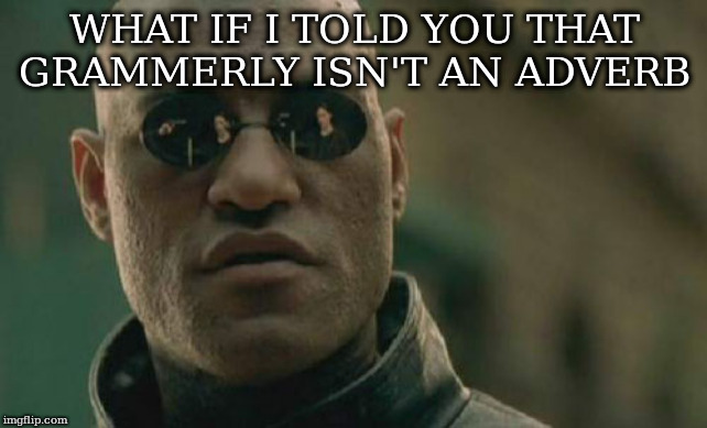 Matrix Morpheus Meme | WHAT IF I TOLD YOU THAT GRAMMERLY ISN'T AN ADVERB | image tagged in memes,matrix morpheus | made w/ Imgflip meme maker