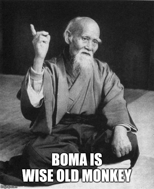 Wise Master | BOMA IS WISE OLD MONKEY | image tagged in wise master | made w/ Imgflip meme maker