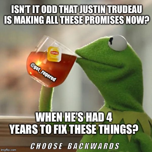 But That's None Of My Business | ISN’T IT ODD THAT JUSTIN TRUDEAU IS MAKING ALL THESE PROMISES NOW? @get_rogered; WHEN HE’S HAD 4 YEARS TO FIX THESE THINGS? C H O O S E    B A C K W A R D S | image tagged in memes,but thats none of my business,kermit the frog | made w/ Imgflip meme maker