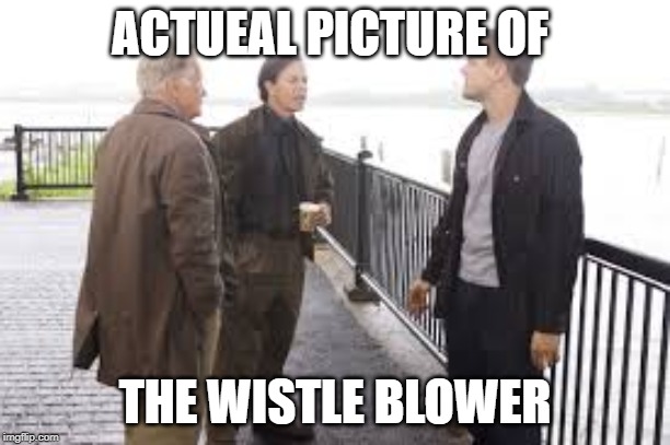 ACTUEAL PICTURE OF; THE WISTLE BLOWER | image tagged in politics,wistleblower,thedeparted,leonardo dicaprio | made w/ Imgflip meme maker