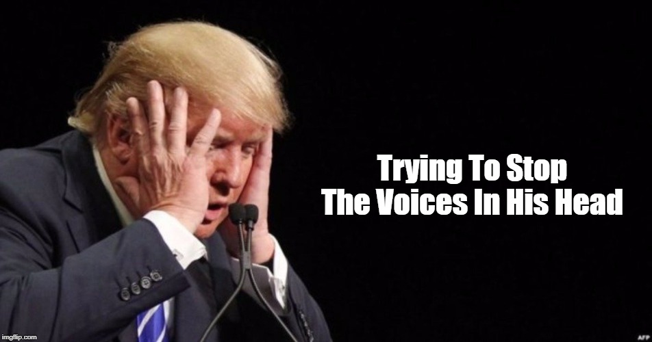 Trying To Stop The Voices In His Head | made w/ Imgflip meme maker