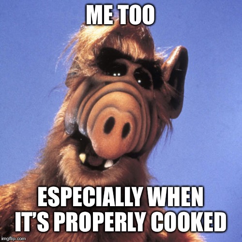 Alf  | ME TOO ESPECIALLY WHEN IT’S PROPERLY COOKED | image tagged in alf | made w/ Imgflip meme maker