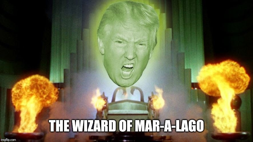 The Wizard of Mar-a-Lago | THE WIZARD OF MAR-A-LAGO | image tagged in the wizard of mar-a-lago | made w/ Imgflip meme maker
