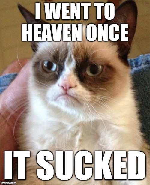 R.I.P Grumpy Cat | I WENT TO HEAVEN ONCE; IT SUCKED | image tagged in memes,grumpy cat,rip,heaven,funny,cats | made w/ Imgflip meme maker