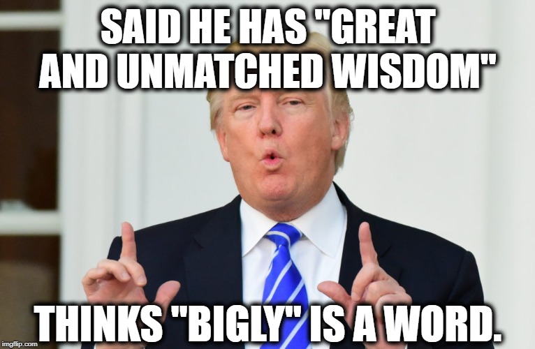 Stupidhead | SAID HE HAS "GREAT AND UNMATCHED WISDOM"; THINKS "BIGLY" IS A WORD. | image tagged in donald trump,moron,wisdom,impeach trump,traitor,treason | made w/ Imgflip meme maker