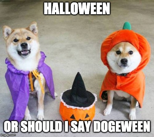 Dogeween | HALLOWEEN; OR SHOULD I SAY DOGEWEEN | image tagged in halloween,funny,doge | made w/ Imgflip meme maker