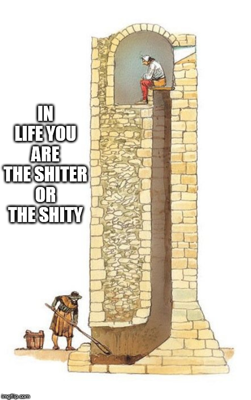 poop | IN LIFE YOU ARE THE SHITER OR THE SHITY | image tagged in shit | made w/ Imgflip meme maker
