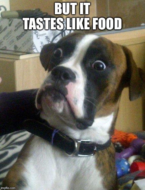 Blankie the Shocked Dog | BUT IT TASTES LIKE FOOD | image tagged in blankie the shocked dog | made w/ Imgflip meme maker