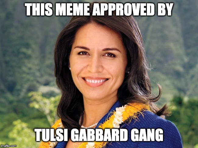 Tulsi Gabbard | THIS MEME APPROVED BY TULSI GABBARD GANG | image tagged in tulsi gabbard | made w/ Imgflip meme maker