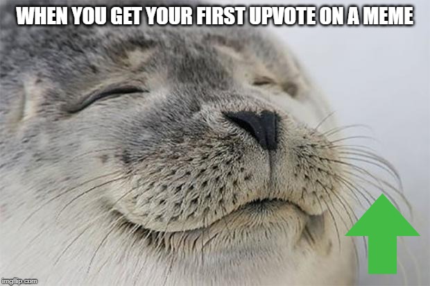 Satisfied Seal | WHEN YOU GET YOUR FIRST UPVOTE ON A MEME | image tagged in memes,satisfied seal | made w/ Imgflip meme maker