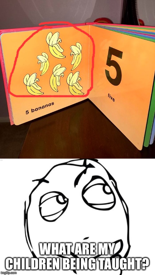 Can you count | WHAT ARE MY CHILDREN BEING TAUGHT? | image tagged in memes,question rage face | made w/ Imgflip meme maker