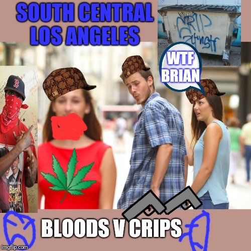 Even gangstas have the same problems | SOUTH CENTRAL
LOS ANGELES; WTF BRIAN; BLOODS V CRIPS | image tagged in memes,distracted boyfriend,gangsta,gangsta rap made me do it,overly attached girlfriend,thug life | made w/ Imgflip meme maker