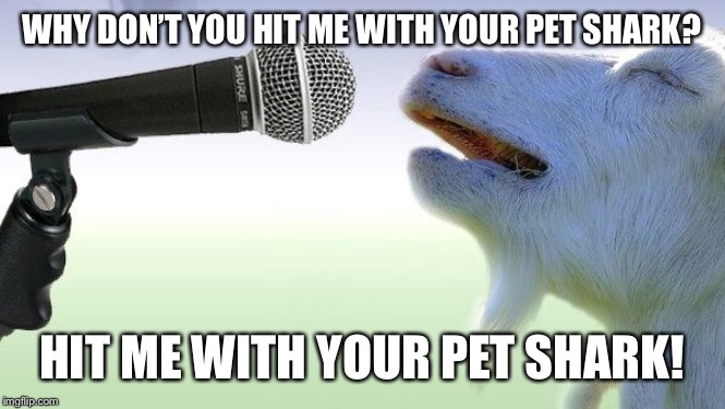Hit me with your pet shark and fly away! | WHY DON’T YOU HIT ME WITH YOUR PET SHARK? HIT ME WITH YOUR PET SHARK! | image tagged in goat singing | made w/ Imgflip meme maker