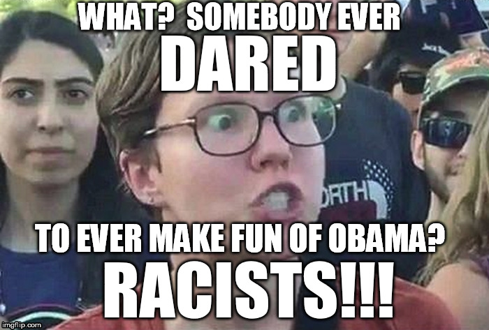 Triggered Liberal | WHAT?  SOMEBODY EVER TO EVER MAKE FUN OF OBAMA? RACISTS!!! DARED | image tagged in triggered liberal | made w/ Imgflip meme maker
