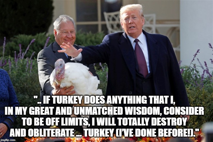 Donald will destroy Turkeys - He's definitely not going Vegan | ".. IF TURKEY DOES ANYTHING THAT I, IN MY GREAT AND UNMATCHED WISDOM, CONSIDER TO BE OFF LIMITS, I WILL TOTALLY DESTROY AND OBLITERATE ... TURKEY (I’VE DONE BEFORE!)." | image tagged in donald trump,turkey,wisdom,destroy,unmatched wisdom | made w/ Imgflip meme maker