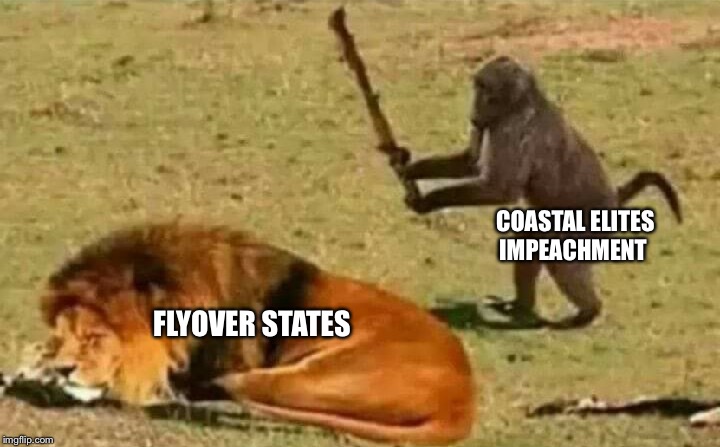 Bad idea | COASTAL ELITES IMPEACHMENT; FLYOVER STATES | image tagged in bad idea | made w/ Imgflip meme maker