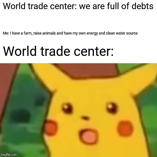 Surprised Pikachu | World trade center: we are full of debts; Me: I have a farm, raise animals and have my own energy and clean water source; World trade center: | image tagged in memes,surprised pikachu | made w/ Imgflip meme maker