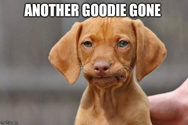 Dissapointed puppy | ANOTHER GOODIE GONE | image tagged in dissapointed puppy | made w/ Imgflip meme maker