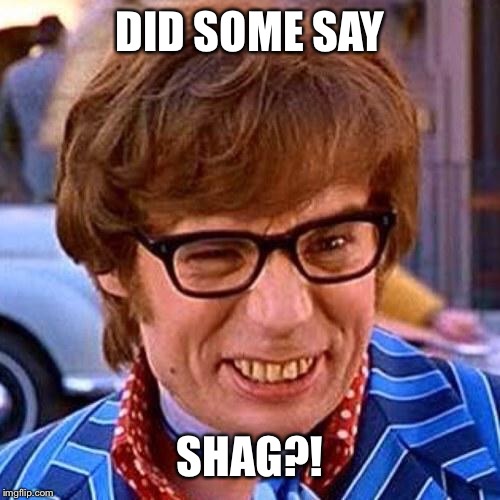 Austin Powers Wink | DID SOME SAY SHAG?! | image tagged in austin powers wink | made w/ Imgflip meme maker