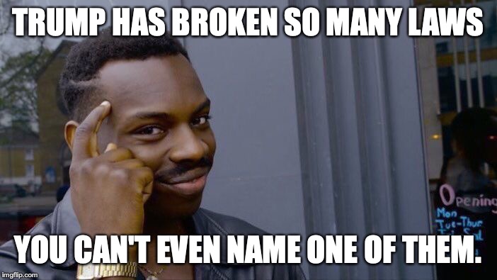 Roll Safe Think About It Meme | TRUMP HAS BROKEN SO MANY LAWS YOU CAN'T EVEN NAME ONE OF THEM. | image tagged in memes,roll safe think about it | made w/ Imgflip meme maker